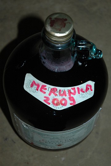 Fotka 38