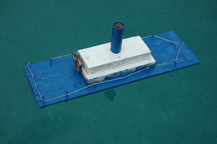 Fotka 377