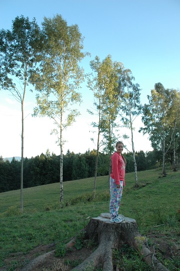 Fotka 254