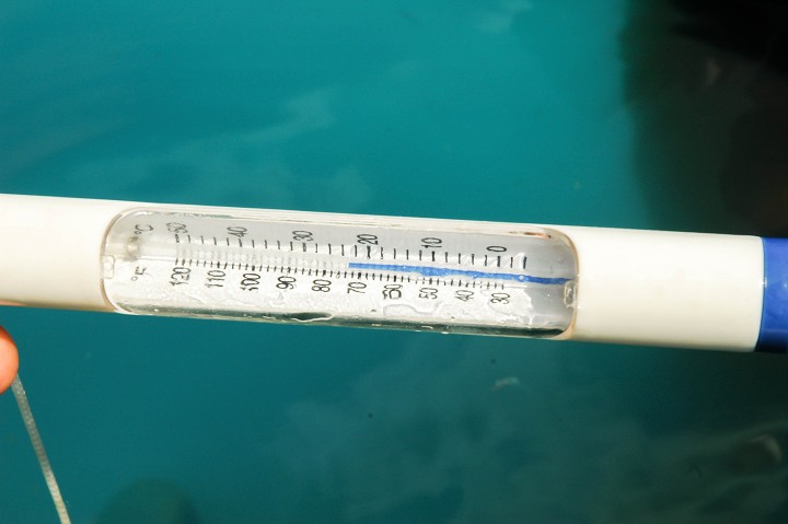 Fotka 115