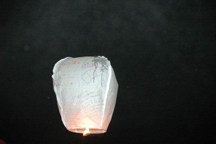 Fotka 479