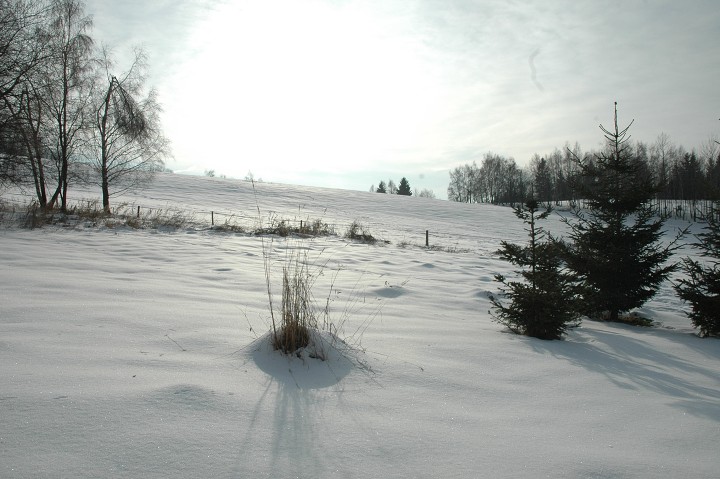 Fotka 625