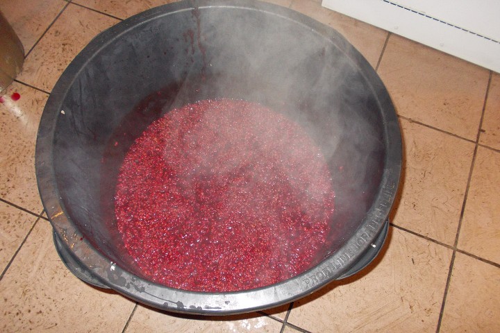Fotka 141
