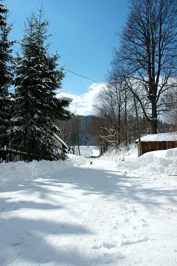 Fotka 80