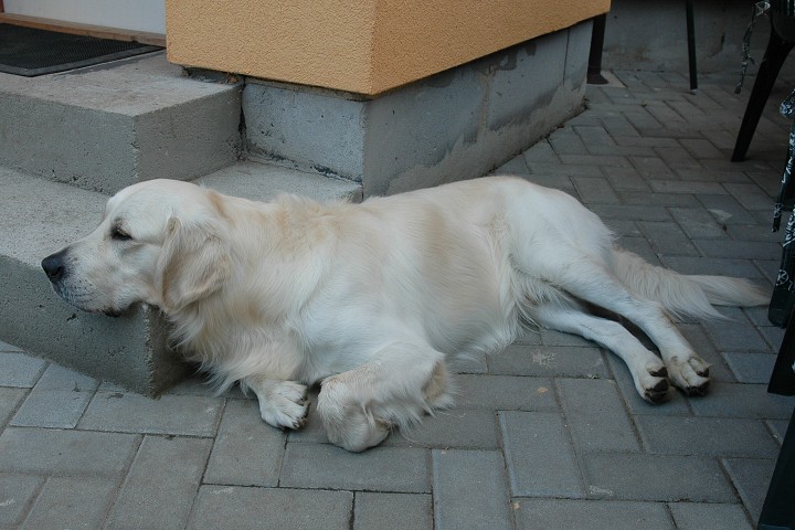 Fotka 34